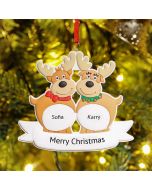 Reindeer Personalized Christmas Ornament with Engraved 2-7 Names